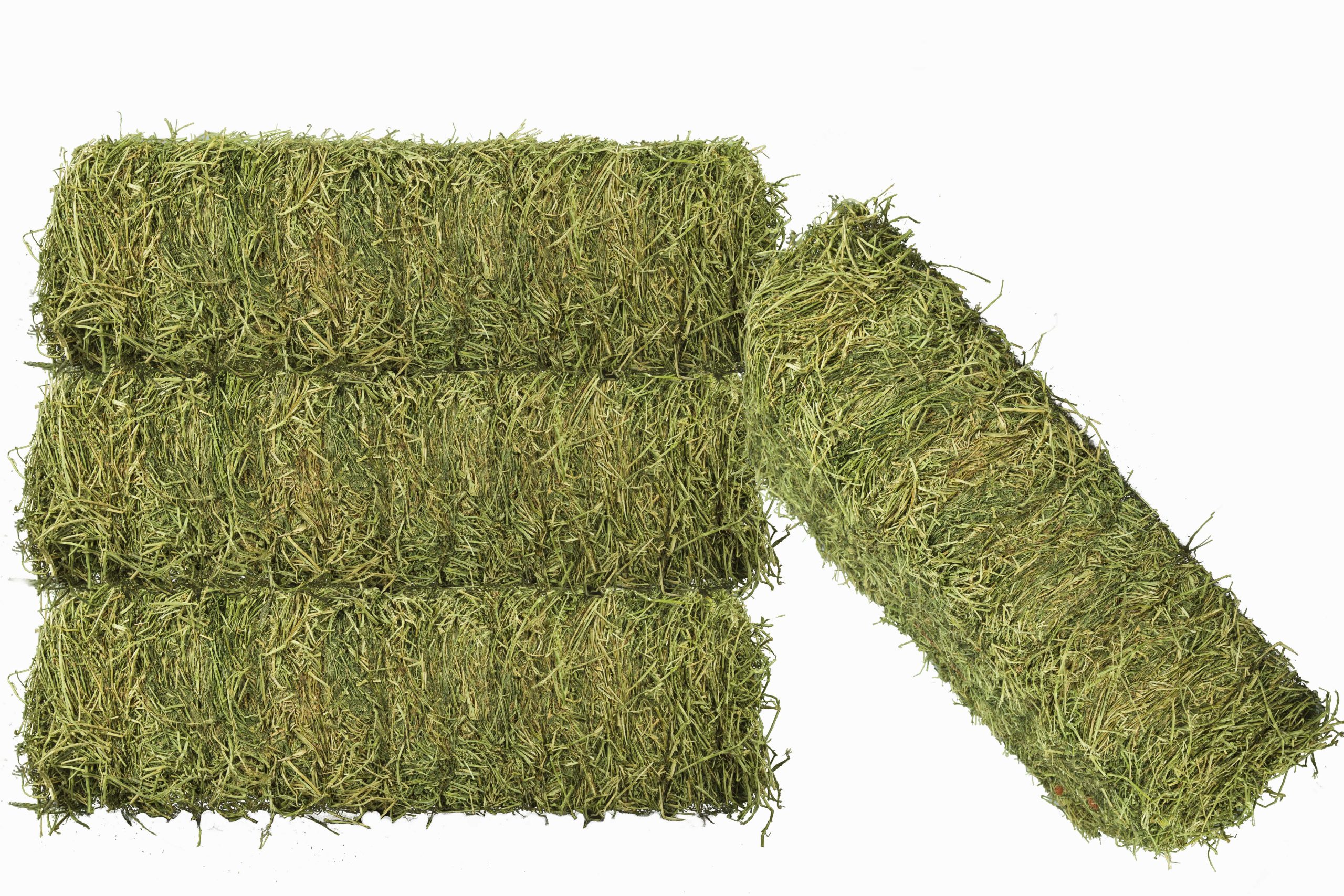 Alfalfa Hay